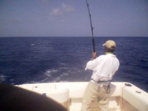 fighting my mahi of islamorda 814